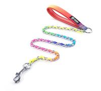 TSPRO Chew Proof Dog Leash, Stainless Steel & Nylon, 3MM Rainbow, 3.6FT, Padded Handle, Heavy Duty, Ideal for Large Dogs