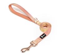 TSPRO Dog Leash for Small to Medium Dogs, Lightweight Dog Lead with Padded Handle and Metal Snap, Built to Endure Walks and Runs (Gradient Orange-Yellow)