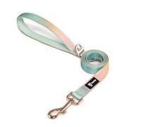 TSPRO Dog Leash for Small to Medium Dogs, Lightweight Dog Lead with Padded Handle and Metal Snap, Built to Endure Walks and Runs (Gradient Yellow-Green)