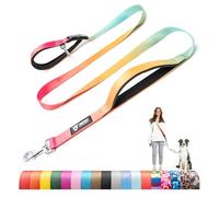 TSPRO Hands Free Dog Lead Heavy-Duty Buckle Padded Dual Handle Large Breeds