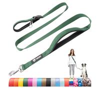 TSPRO Heavy-Duty Hands-Free Dog Lead, Dual Padded Handles, Adjustable