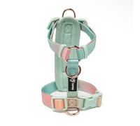 TSPRO Medium Dog Harness, Adjustable No Pull Dog Harness with Quick Release Buckle, Lightweight, Durable and Breathable for Walking and Running (Gradient Yellow-Green, Size 2)