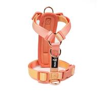 TSPRO Medium Dog Harness, Adjustable No Pull Dog Harness with Quick Release Buckle, Lightweight, Durable and Breathable for Walking and Running (Gradient Orange-Yellow, Size 2)