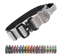 TSPRO Premium Dog Collar with Handle and Heavy Duty Quick Release Metal Buckle, Durable, Adjustable and Thick Dog Collars for Medium to Large Dogs (Silver L)