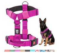 TSPRO Premium Ultraresistant No Pull Dog Harness for Medium to Large Dogs, Heavy Duty, Adjustable with Quick-Release Buckle & Padded Handle, for Walking, Hiking, Running (Purple L)