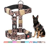 TSPRO Premium Ultraresistant No Pull Dog Harness for Medium to Large Dogs, Heavy Duty, Adjustable with Quick-Release Buckle & Padded Handle, for Walking, Hiking, Running (Leopard Print M)
