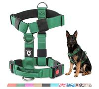 TSPRO Premium Ultraresistant No Pull Dog Harness for Medium to Large Dogs, Heavy Duty, Adjustable with Quick-Release Buckle & Padded Handle, for Walking, Hiking, Running (Green L)