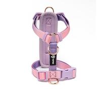 TSPRO Small Dog Harness, Adjustable No Pull Dog Harness with Quick Release Buckle, Lightweight, Durable and Breathable for Walking and Running (Gradient Pink-Purple, Size 1)