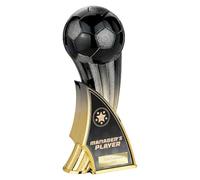 TSS Trophy Superstore Firestorm Manager's Player Football Trophy - Free Engraving - 220mm (plate F)
