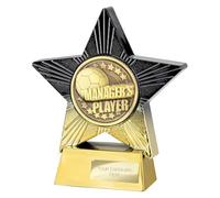 TSS Trophy Superstore Superstar Manager's Player Football Trophy - Gold and Black - Free Engraving - 140mm (plate A)