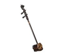 TSTS Black Sandalwood Hexagonal Hand Carved Dragon Head Erhu Professional Erhu With Accessories Professional Erhu