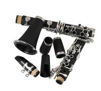 TSTS Clarinet Kit Clarinet 17 Key B-flat Eb Clarinet Suitable For Beginners Music Learning Lesson Woodwind Instrument With Parts