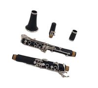 TSTS Clarinet Kit Professional Clarinet A-clarinet 17 Button Copper Nickel Resin Production