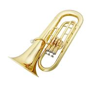 TSTS Euphonium Kit B-flat Three-tone Euphonium Lacquer Gold Euphonium Beginner Band