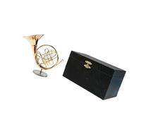 TSTS Instrument Model Mini French Horn Musical Instrument Model Ornaments Home Decoration Gifts For Friends(15cm)