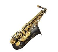 TSTS Matte Black Nickel Body Gold Keys Alto Eb Saxophone Professional Saxophone Instrument With Accessories Saxophone for Student
