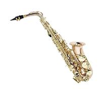 TSTS Phosphor Bronze Body Alto Saxophone E Flat Saxophone With Carrying Case And Accessories Saxophone for Student