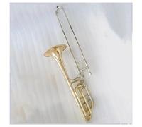 TSTS Professional Trombone Gold Copper Speaker Trombone Instrument Trombone Bb/F/G/D Gold Lacquered Bass Trombone