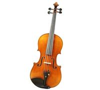 TSTS Professional Violin Violin 1/4 1/2 3/4 4/4 With Canvas Case And Brazilwood Bow (Color : 1/4)