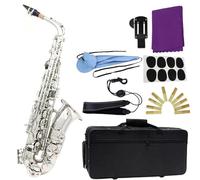 TSTS saxophone set Rose Red Light Grey Eb Alto Saxophone Exquisite Carved Woodwind Instrument Brass Sax With Box Musical Instrument Parts (Color : Light Grey)