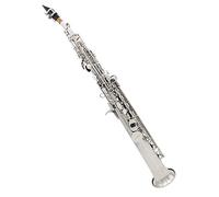 TSTS Silver High-pitched Saxophone Bb Flat Professional Wind Instrument Brass Straight Pipe Sax With Case Accessories Saxophone for Student