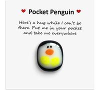 Tsugar 1PCS A Little Pocket Penguin Hug,Mini Animal Pocket Hug Penguin,Special Penguin Pocket Keepsake Ornament Cute Animal Gift (Here's a Hug)