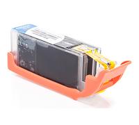 TSW Compatible Canon 6496B001 PGI550XL Black 500 Page Yield