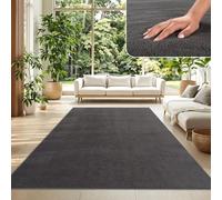 TT Home Large Rug Short Pile Monochrome Modern Design Washable, colour: Anthracite, Size:240x340 cm
