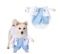 TTAO Funny Halloween Dog Costume Pet Clothing Wizard Witch Cape Witch Hat Dog Costume for Halloween Party White Medium
