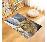 TTBAoDAoY Door Mats Indoor Rug, 40x60cm,Big Lion With Little Cub, Doormats for Bedroom Kitchen Hallway