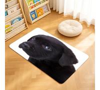 TTBAoDAoY Door Mats Indoor Rug, 40x60cm,Cute Little Black Labrador Retriever Puppy Looking At The Camera Closeup Picture On Its Head, Doormats for Bedroom Kitchen Hallway