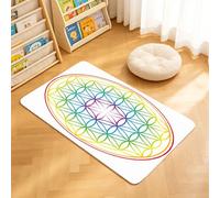 TTBAoDAoY Door Mats Indoor Rug, 40x60cm,Rainbow Gradient Flower Of Life Sacred Geometry Symbol, Doormats for Bedroom Kitchen Hallway