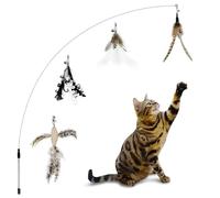 TTcat Cat Wand Toys,Interactive Bird Simulation Toy Set,Fishing Pole,35'' Flexible Steel Wire and 4Pcs Feather Refills,Teaser Toys for Indoor Cat and Kitten.