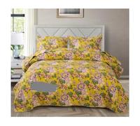TTDGYYXW Comforter Bed Set Quilted Bedspread Printed Reversible Bed Cover Lightweight Quilt With 2 Pillowcases Quilt Bedspread Bedding Comforter Sets(Blue)