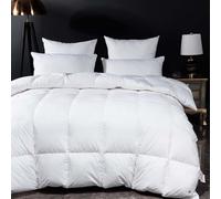 TTDGYYXW Goose Down Fiber Comforter Queen Size - Extra Warmth Overfilled Down Duvet Insert with Corner Loops - 750 Fill Power Fluffy Down Comforter - 150 Thread Count Cotton Bed