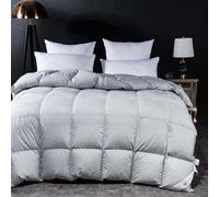 TTDGYYXW Goose Down Fiber Comforter Queen Size - Extra Warmth Overfilled Down Duvet Insert with Corner Loops - 750 Fill Power Fluffy Down Comforter - 150 Thread Count Cotton Bed