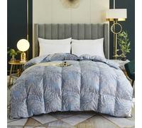 TTDGYYXW Goose Feather Down Comforter Queen Size - Printing Quilted Down Comforter - 800 Fill Power Ultra-Soft Fluffy Bed Comforters - All Season Warmth Duvet Insert with Corner Tabs,E-200X230CM
