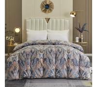 TTDGYYXW Goose Feather Down Comforter Queen Size - Printing Quilted Down Comforter - 800 Fill Power Ultra-Soft Fluffy Bed Comforters - All Season Warmth Duvet Insert with Corner Tabs,E-200X230CM