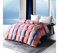 TTDGYYXW Lightweight Rainbow Duvet Feather Down Comforter, All Season Duvet Queen/king Size with Graduated Color, Cotton-blended Down-proof Shell With Bag, 220x240cm/86x95in,Filling 2200g-Pink