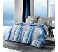 TTDGYYXW Lightweight Rainbow Duvet Feather Down Comforter, All Season Duvet Queen/king Size with Graduated Color, Cotton-blended Down-proof Shell With Bag, 220x240cm/86x95in,Filling 2200g-Pink