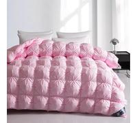 TTDGYYXW Pinch Pleat Feathers Down Comforter Queen Size Goose Down Comforter Duvet 100% Cotton Cover 800 Fill Power Cloud-Like Fluffiness Warmth All Season Duvet Insert with Corner Tabs,Pink-180X220CM
