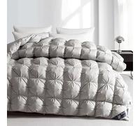 TTDGYYXW Pinch Pleat Feathers Down Comforter Queen Size Goose Down Comforter Duvet 100% Cotton Cover 800 Fill Power Cloud-Like Fluffiness Warmth All Season Duvet Insert with Corner Tabs,Pink-180X220CM