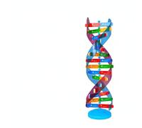 TTETTZ Educational Structure Freestanding Model With Spiral Shape Genetics Learning Display Science Classroom Tool Biology Teaching Aid Made of EVA Suitable