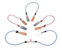 TTETTZ Industrial Experiment Fruit Classroom Kit Educational Science Set Electricity Principles Concepts Teaching Tools Child Safe Non Parts Guided Assembly