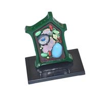 TTETTZ Plant Cell Structure Model Educational Tool Portable Supplies for Biology Learning