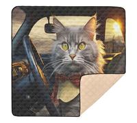 Ttgoth Driver Cat Baby Play Mat for Floor 127x127cm Soft Foldable Crawling Mat Waterproof Non-Slip Floor Mat Kids Playmat for Infants Babies Toddlers