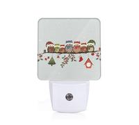 TTIGLHOH Cute Christmas Owls On Branch Led Night Light Plug Into Wall, Fashion Printed Nightlight with Dusk to Dawn Sensor for Hallway Room Stairway