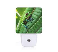 TTIGLHOH Frog Leaves Led Night Light Plug Into Wall, Fashion Printed Nightlight with Dusk to Dawn Sensor for Hallway Room Stairway