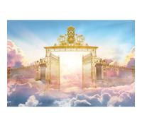 Ttincceer 10x8ft Heaven Backdrop for Photoshoot Dreamy Paradise Gate Sky Pink White Cloud Baby Shower Photography Backdrop Boy Girl Adult Birthday Party Decoration Banner Portrait Photo Prop