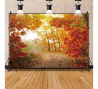 Ttincceer 250x180cm Autumn Forests Backdrop Golden Yellow Red Maple Leaf Forests Natural Scenery Photography Background Deciduous Dirt Road Fall Plant Background Photo Booth Prop